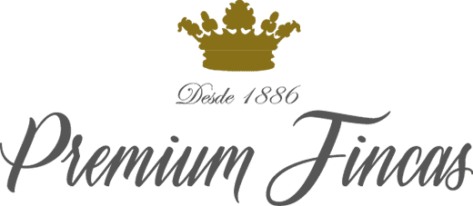 footer-logo
